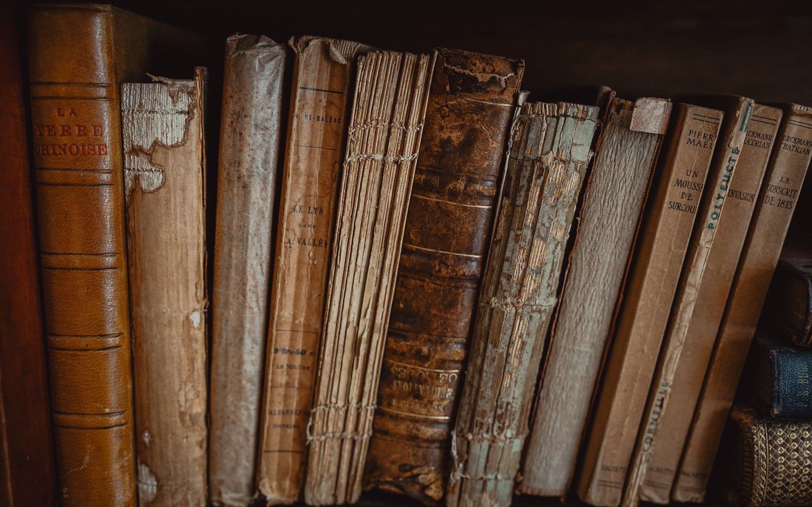 Worn leather spines of antique French books lined up on a shelf