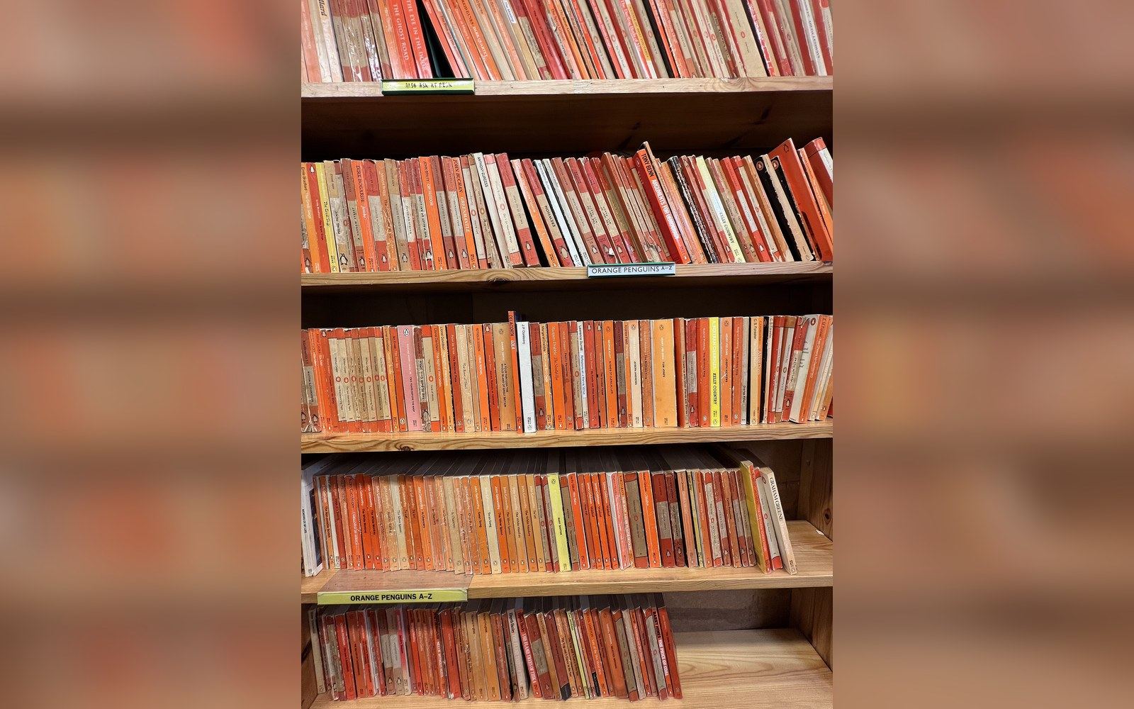 Wooden shelves lined with rows of orange-spined Penguin paperbacks organized by series